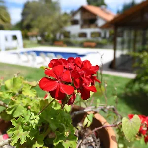 Hotel Quinta La Constanza